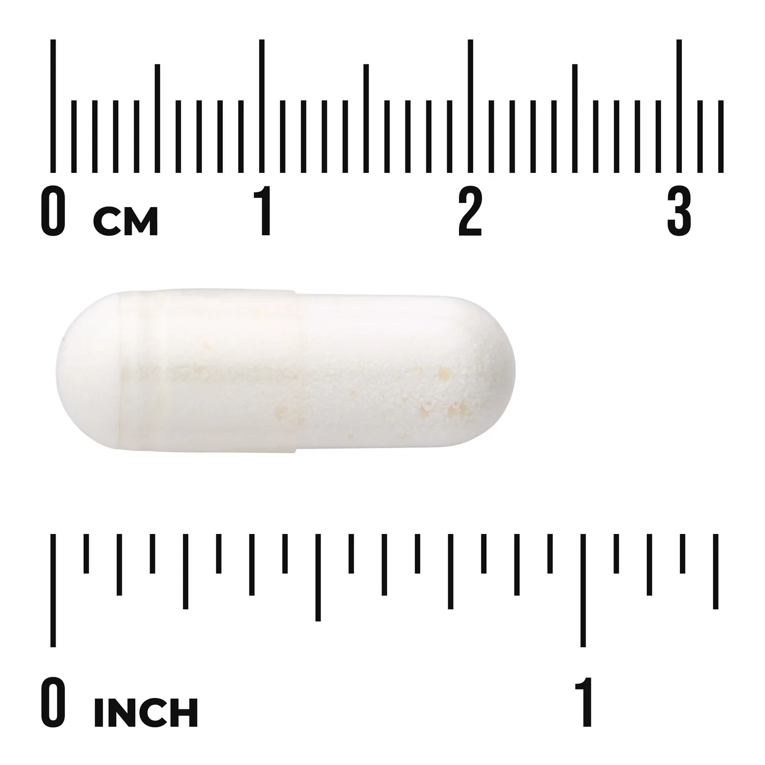 Probiotic for Daily Wellness - Image 3